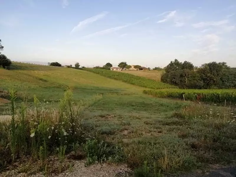 Terrain à bâtir, 1 240 m² - Saint-Romain-la-Virvée (33240)