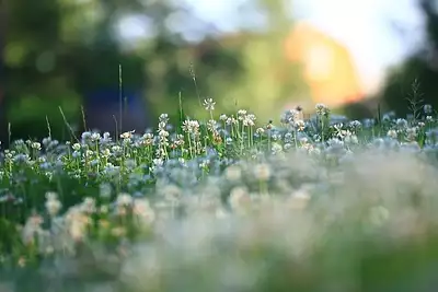 Maison neuve, 120 m²