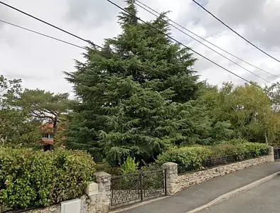 Terrain à bâtir, 260 m²