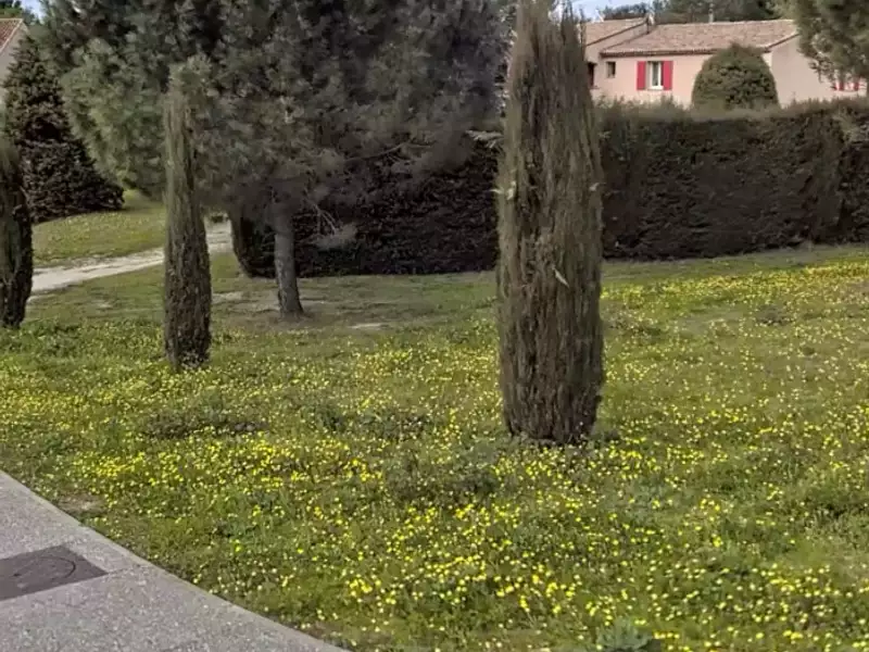 Terrain à bâtir, 427 m² - Cadenet (84160)