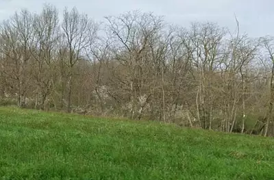 Terrain à bâtir, 850 m²