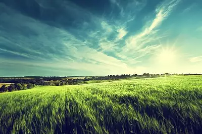 Terrain à bâtir, 537 m²