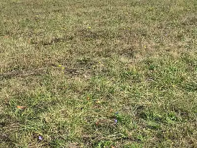 Maison neuve, 80 m²