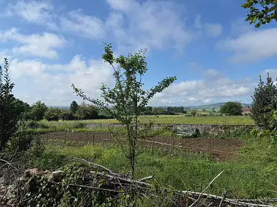 Maison neuve, 110 m²