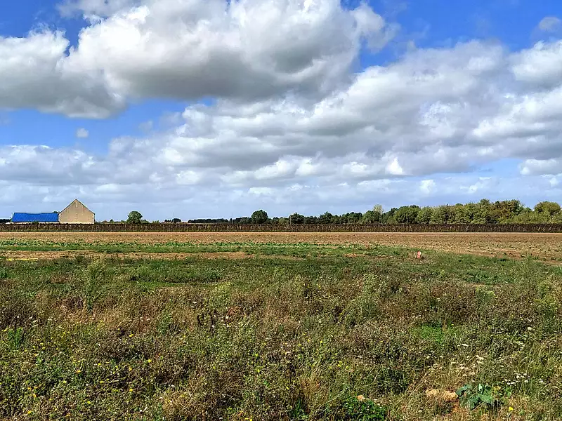 Maison neuve, 94 m² - Beaumont-Louestault (37360)