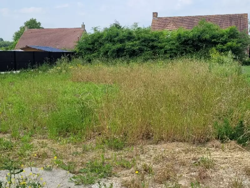 Maison neuve, 100 m² - Herzeele (59470)