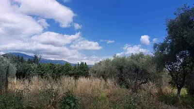 Terrain à bâtir, 2 550 m²