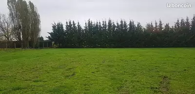 Maison neuve, 80 m²