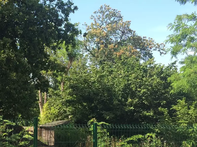 Terrain à bâtir, 222 m² - Mérignac (33700)