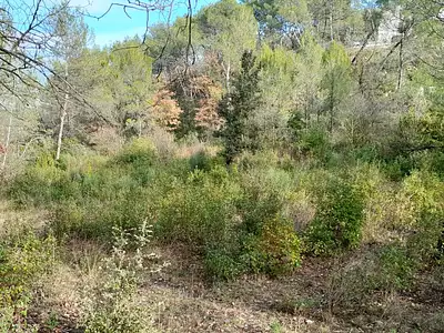 Maison neuve, 110 m²