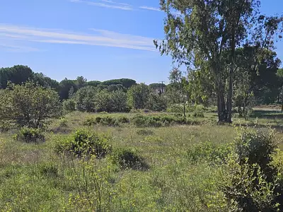 Maison neuve, 110 m²