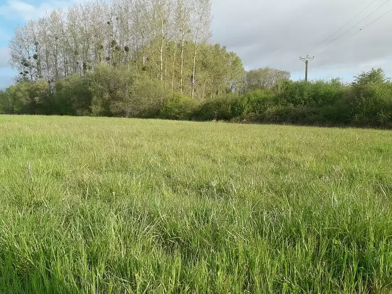 Maison neuve, 134 m² - Le Controis-en-Sologne (41700)