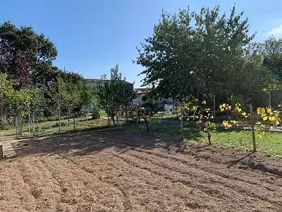 Maison neuve, 90 m²