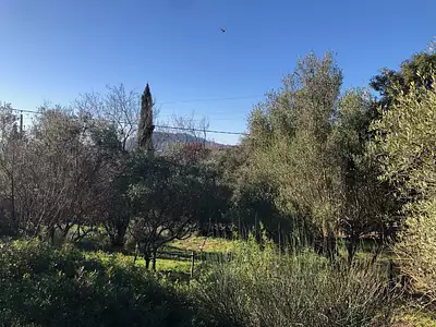 Maison neuve, 64 m²