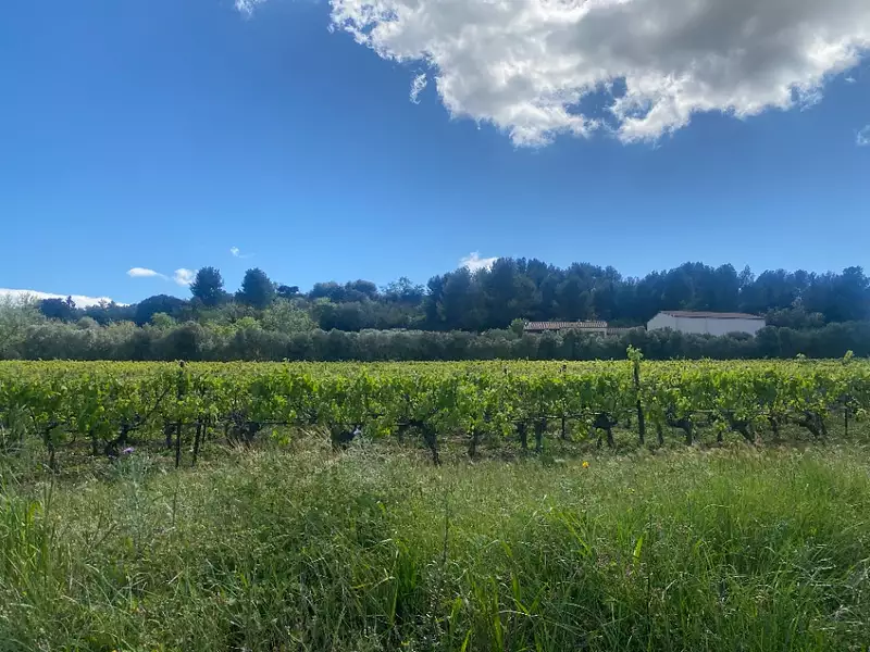 Maison neuve, 155 m² - Ginestas (11120)
