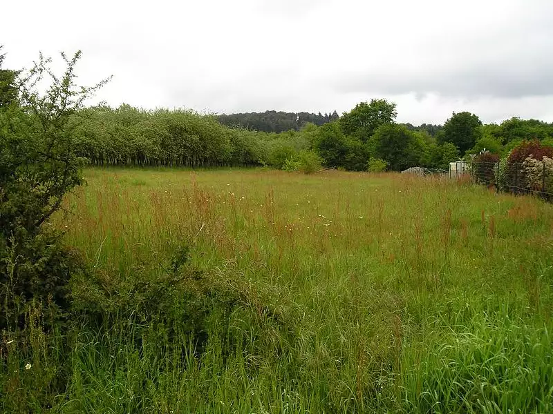 Terrain à bâtir, 3 000 m² - Saint-Dolay (56130)