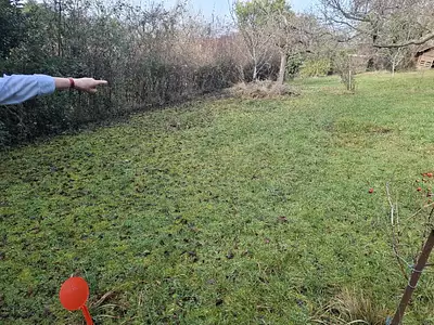 Terrain à bâtir, 1 312 m²