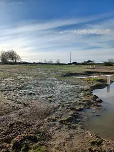 Maison neuve, 54 m²