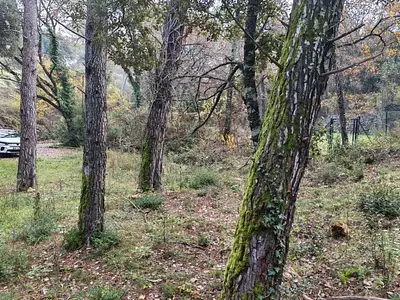 Terrain à bâtir, 1 882 m²