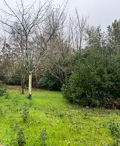 Maison neuve, 100 m²