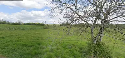 Terrain à bâtir, 3 800 m²