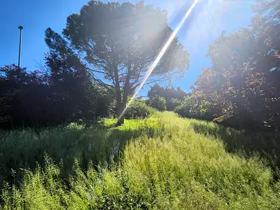 Terrain à bâtir, 570 m²