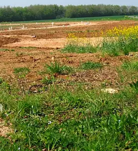 Terrain à bâtir, 528 m²