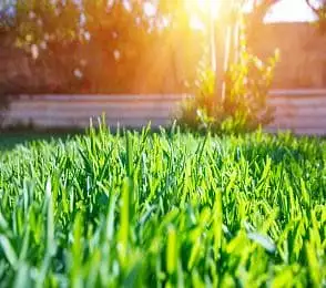 Terrain à bâtir, 1 600 m²