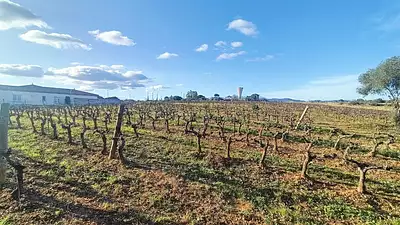 Terrain à bâtir, 1 643 m²