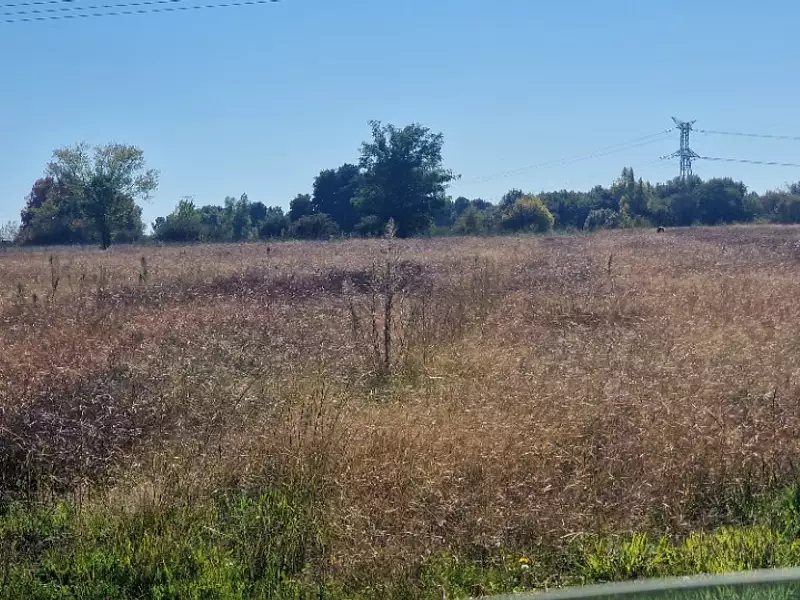 Terrain à bâtir, 1 500 m² - Saint-Savin (33920)