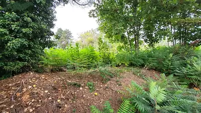 Terrain à bâtir, 725 m²