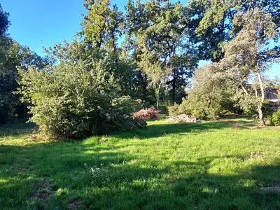 Maison neuve, 60 m²