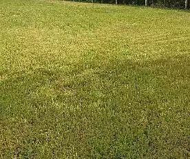 Maison neuve, 95 m²