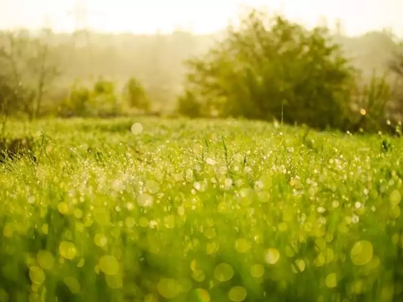 Terrain à bâtir, 425 m² - Dannemois (91490)