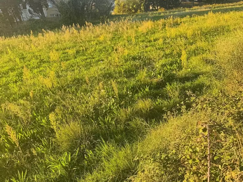 Terrain à bâtir, 320 m² - Istres (13800)