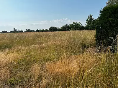 Terrain à bâtir, 739 m² - Saint-Marcel (71380)