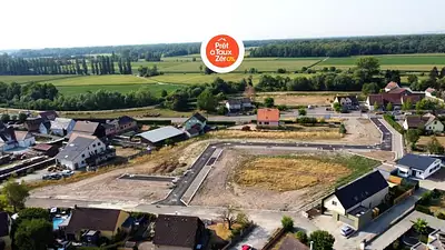 Les Roseaux