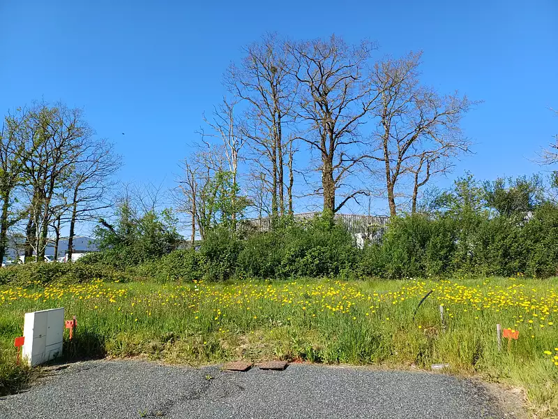 Terrain à bâtir, 372 m² - Aizenay (85190)