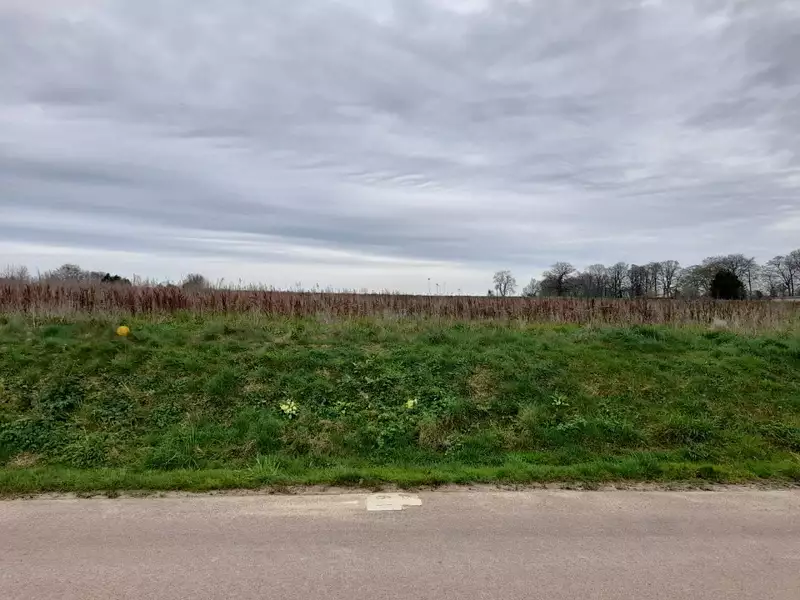 Maison neuve, 81 m² - Le Catelier (76590)