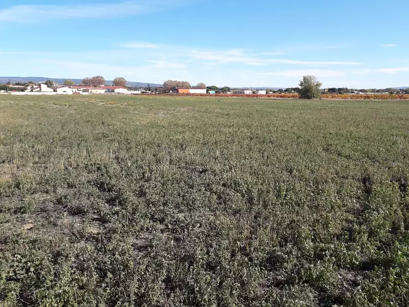 Maison neuve, 144 m² - Rieux-Minervois (11160)