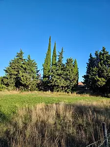 Terrain à bâtir, 311 m²