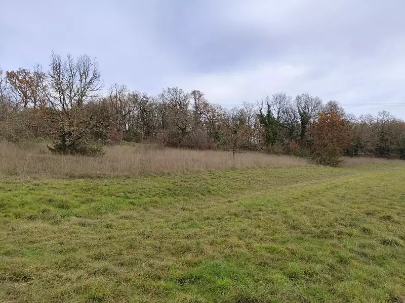 Terrain à bâtir, 16 000 m² - Laburgade (46230)