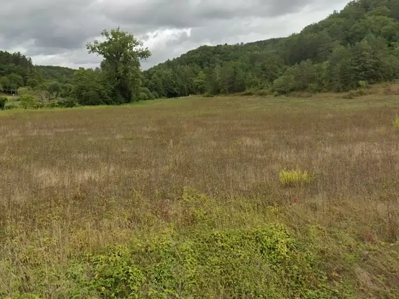 Terrain à bâtir, 1 155 m² - Castels et Bézenac (24220)