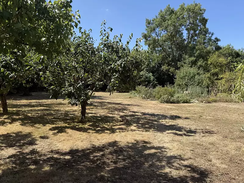 Terrain à bâtir, 780 m² - Saint-Laurent-de-la-Prée (17450)