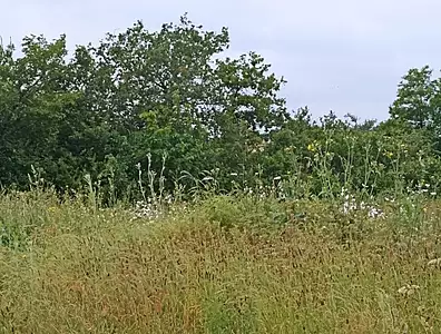 Terrain à bâtir, 435 m²