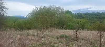 Maison neuve, 90 m²