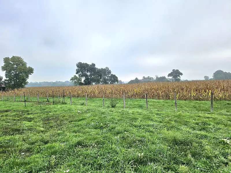 Terrain à bâtir, 770 m² - Bâgé-Dommartin (01380)