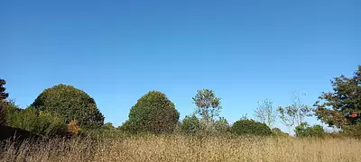 Terrain à bâtir, 3 500 m²