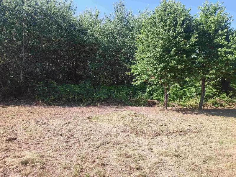 Terrain à bâtir, 592 m² - Nouan-le-Fuzelier (41600)