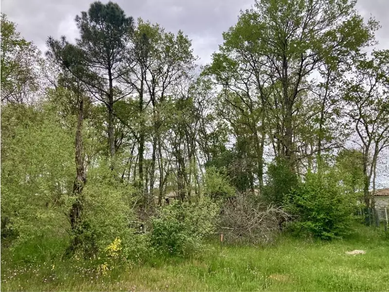 Maison neuve, 90 m² - Saint-Médard-en-Jalles (33160)